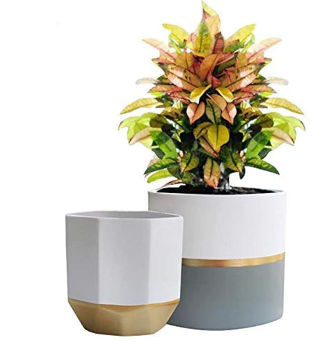 White & Gold Ceramic Flower Pot Garden Planters 6.7 + 5.4 